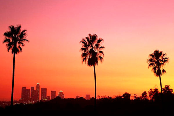 A CITY GUIDE TO LOS ANGELES