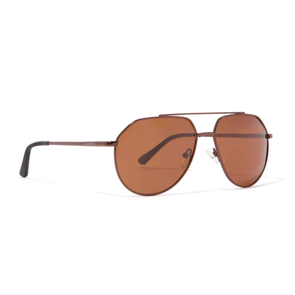Edgar Aviator Polarized Sunglasses > Brown / Brown